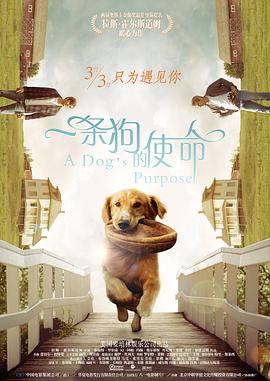 一个人在线观看www中国
